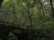 Camuy_Cave_2011_01