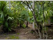 Mexico_2004