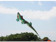 Kitty Hawk_2010_05